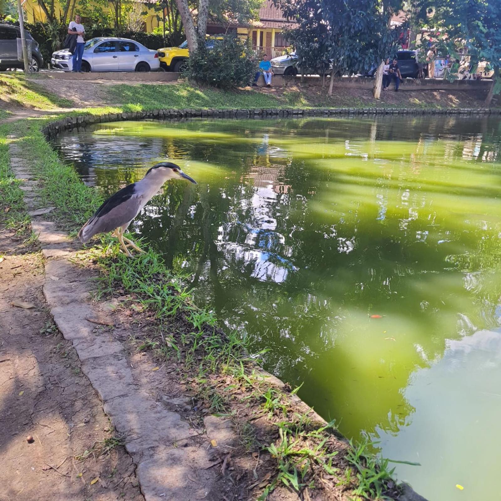 Casa Lumiar Villa ภายนอก รูปภาพ